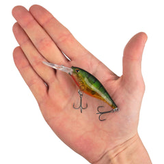 Scented Flicker Shad®